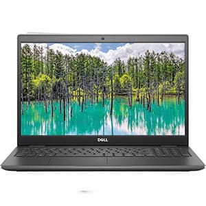 DELL 3510/i7-10th